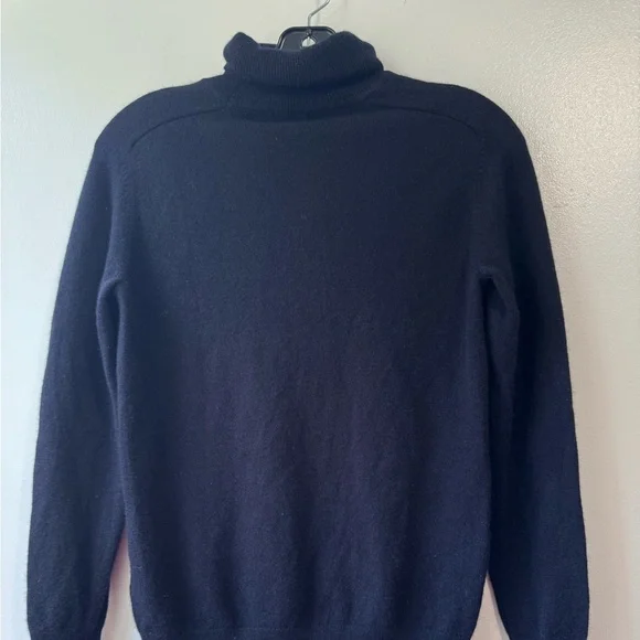 Everlane Cashmere Blue Turtleneck Sweater